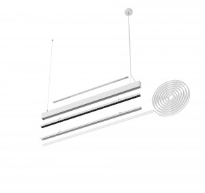 SKIN-P Ceiling Type Luminaire