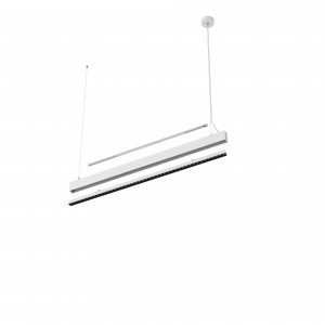 SKIN-P Ceiling Type Luminaire