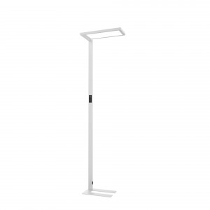 LEO-F Free-Standing Luminaire