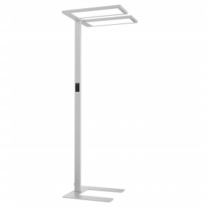 LEO-DF Free-Standing Luminaire