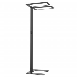 LEO-DF Free-Standing Luminaire