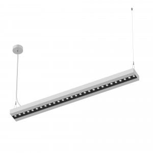 NECO-WP Pendant Luminaire