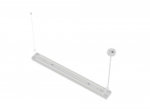 NECO-WP Pendant Luminaire