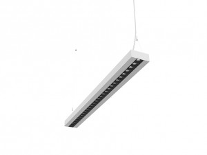 NECO-WP Pendant Luminaire