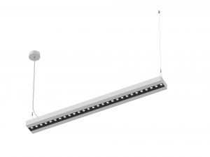 NECO-WP Pendant Luminaire