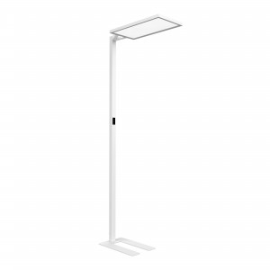 UNIFY-F Free-Standing Luminaire