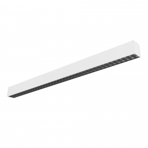 Viewline Pro-C Ceiling Type Luminaire